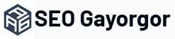 SEO Gayorgor